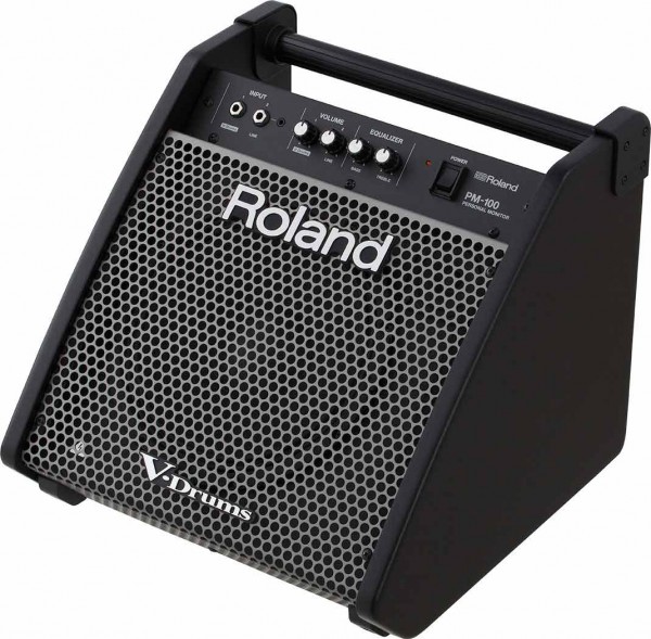 Roland PM-100 Monitor