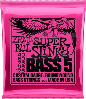 Ernie Ball EB2824